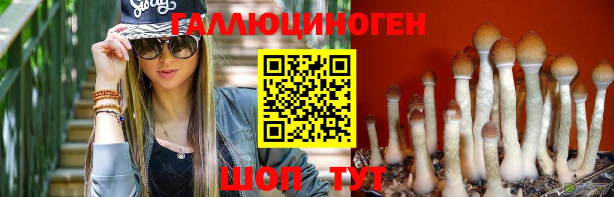 Кумертау  Псилоцибиновые грибы мицелий  Вход с VPN 